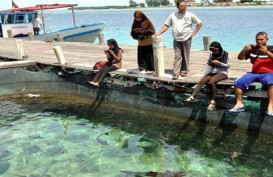  Setelah 65 Tahun, Pulau Pari Banjir Rob Dua Kali Setahun   