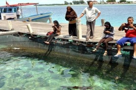 Setelah 65 Tahun, Pulau Pari Banjir Rob Dua Kali Setahun…
