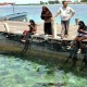  Setelah 65 Tahun, Pulau Pari Banjir Rob Dua Kali Setahun   