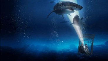 Sinopsis Film 47 Meters Down, Tayang Jam 21:30 WIB di Bioskop Trans TV