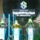 Ekspansi SSIA di Subang Smartpolitan, Proyek 1.200 Ha dengan Potensi Investasi Triliunan