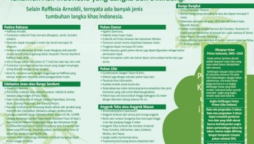 POHON UNTUK MASA DEPAN : Berkah Flora Nusantara