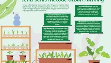 MENANAM DEMI MASA DEPAN : Tren Green Thumb Kaum Urban