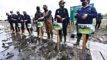 Penanaman Mangrove Bantu Warga Pesisir OKI