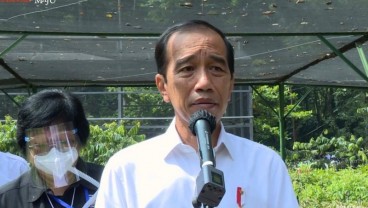 Cegah Bencana Ekologis, Jokowi Targetkan RI Punya 7 Pusat Benih