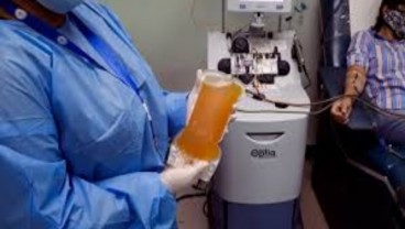Efektif Sembuhkan Pasien Covid-19, PMI Imbau Penyintas Donor Plasma Konvalensen