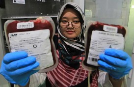 KEBUTUHAN STOK DARAH PMI  : Donor Darah Aman