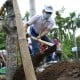 Dukung Lingkungan Sehat, Pertamina Gelar Aksi Tanam Pohon di Sidoarjo