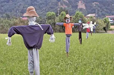 Bebegig atau Orang-Orangan Sawah Dipercaya Bisa Cegah Covid-19