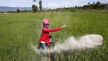 Pengawasan Pendistribusian Pupuk di Tanah Datar Ditingkatkan