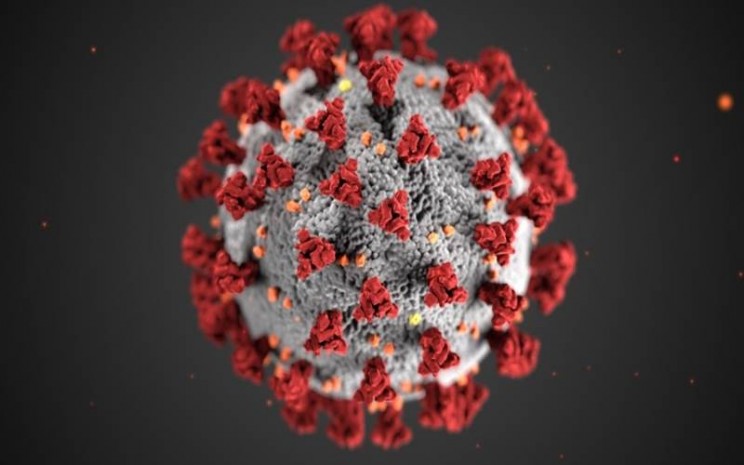 Ilmuwan Temukan Penjelasan Virus Corona Timbulkan Gejala Neurologis 
