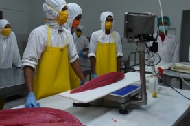 Industri Pengolahan Ikan Ubah Strategi Selama Pandemi…