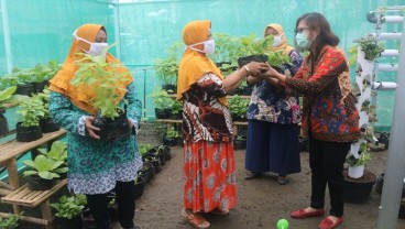 Pemberdayaan Ekonomi Kreatif Urban Farming