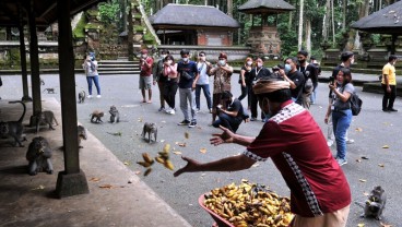 Gelombang PHK di Bali pada Oktober Melandai