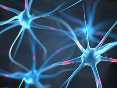 Begini Cara Agar Terhindar Dari Potensi Penyakit Degeneratif