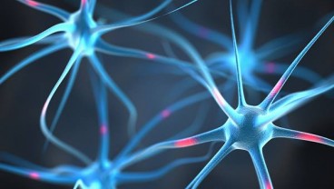 Begini Cara Agar Terhindar Dari Potensi Penyakit Degeneratif