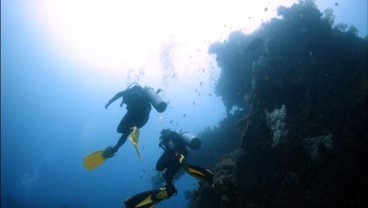 Halo Diver, Lakukan Ini Dulu Sebelum Mulai Scuba Diving