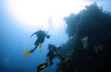 Halo Diver, Lakukan Ini Dulu Sebelum Mulai Scuba Diving