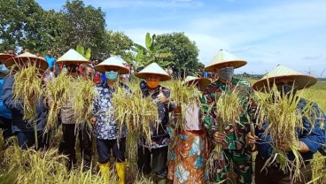 Program CHERISH Hasilkan Panen Raya