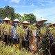 Program CHERISH Hasilkan Panen Raya