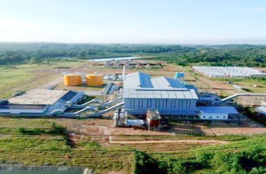 Operasikan Pabrik Baru, Palma Serasih (PSGO) Tingkatkan Produksi CPO