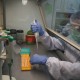 Di Bawah Standar WHO, Pandemic Talks Bikin Petisi Desak Kapasitas Testing Covid-19 Ditingkatkan