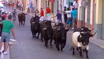 Empat Jagoan Partai Banteng Tumbang di Kandang Sendiri