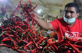 Harga Cabai Merah di Kota Bandung Meroket 100 Persen