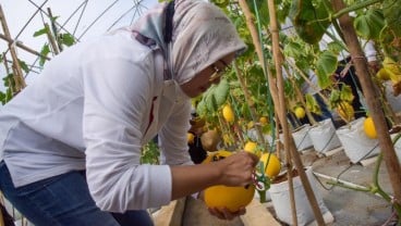 Kebon Ambu, Kawasan Edutaiment dan Litbang Tanaman Pangan ala Purwakarta