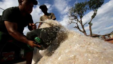 Kontainer Langka, Industri Daur Ulang Andalkan Pasar Lokal