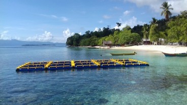 Liburan ke Sauwandarek, Surga Kecil di Raja Ampat