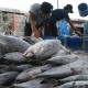 Konsumsi Ikan Nasional Mumpuni, Konsumsi di Jawa Rendah