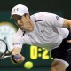 Wildcard untuk Andy Murray di Turnamen Tenis Australia Terbuka 2021