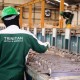 Garap Smelter, Trinitan Metals (PURE) Teken MoU dengan Perusahaan Jepang