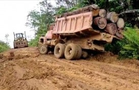 Ilegal Logging, UD Karya Abadi dan Pemiliknya Jadi Tersangka