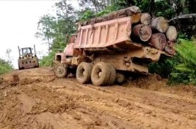 Ilegal Logging, UD Karya Abadi dan Pemiliknya Jadi…