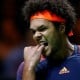 Tsonga Ikuti Federer Mundur dari Tenis Australia Terbuka