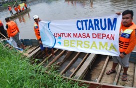 Mozaik Hijau dari Tepi Citarum