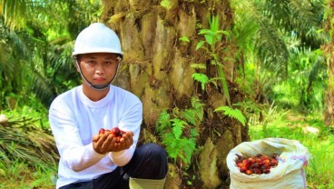 IPO Jumbo di Awal Tahun Jadi Pelecut Optimmisme Pasar Modal