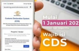 Mulai 1 Januari 2021, Kirim Barang ke Luar Negeri Wajib Isi CDS