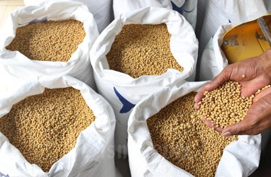 Harga Kedelai Mahal, Petani Khawatir Impor Kedelai GMO Membesar