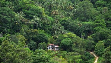 Hutan Sosial di Sumbar Tumbuhkan Perekonomian Masyarakat Desa