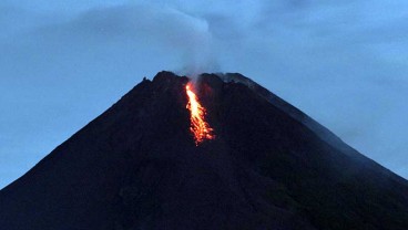 Merapi Puluhan Kali Muntahkan Lava Pijar, Status Masih Siaga