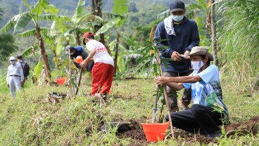 17.000 Bibit Pohon Ditanam di Seputaran Rawapening