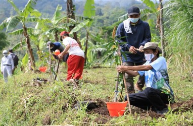 17.000 Bibit Pohon Ditanam di Seputaran Rawapening