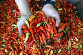 Target Inflasi Pangan 3,2 Persen, Kemendag Fokus Jaga…