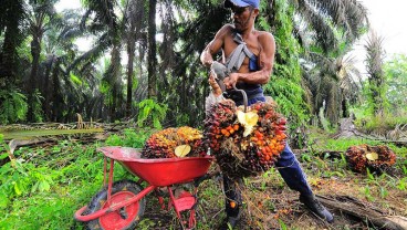 Harga Sawit Tinggi, Produsen Gerobak Sorong Makin Optimistis