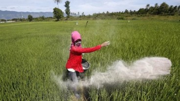 Sawah Kurang Sehat, Petani Diimbau Pemupukan Berimbang