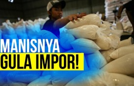 Produksi Minim, Indonesia Butuh Impor Gula