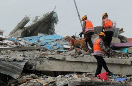 Foto-foto Perkembangan Penanganan Gempa di Mamuju, Minggu 17 Januari